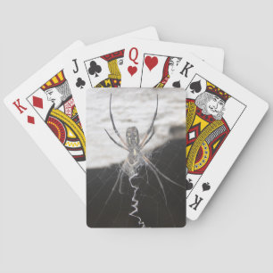 Spider Playing Cards