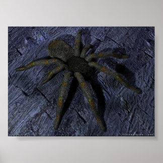 Spider Poster
