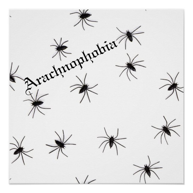 Spider Poster (Front)