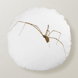 Spider Round Cushion