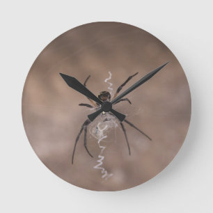 Spider Round Wall Clock