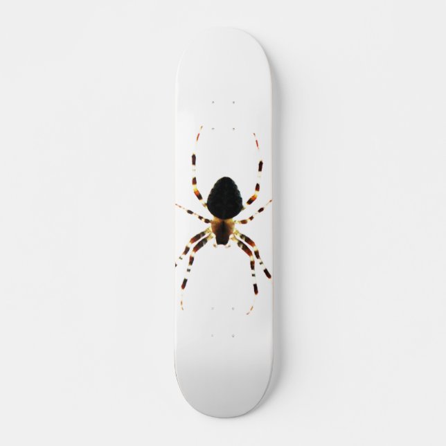 Spider sdm skateboard (Front)