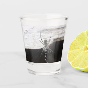 Spider Shot Glass