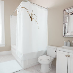 Spider Shower Curtain