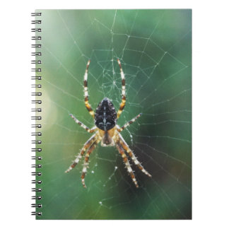 Spider Spider Notebook (80 Pages B&W)