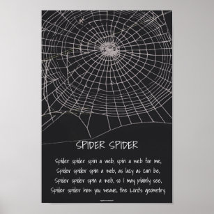 Spider Spider Poster