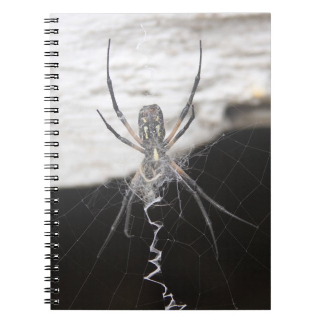 Spider Spiral Notebook (Front)