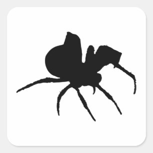 Spider Spooky Halloween  Square Sticker