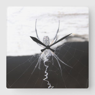 Spider Wall Clock