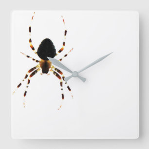 Spider Wall Clock