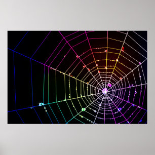 Spider Web 1 Print