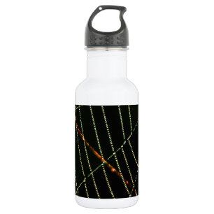 Spider Web 532 Ml Water Bottle