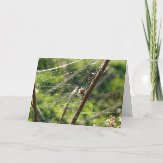Spider Web Bokeh Card (Front)