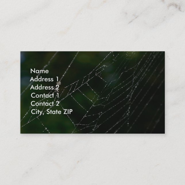 Spider Web Business Card (Front)