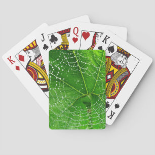Spider Web Classic Playing Cards