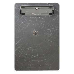 Spider Web Clipboard