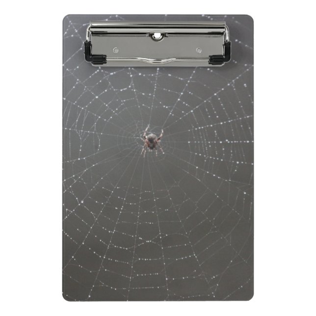 Spider Web Clipboard (Front)