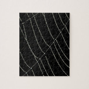 Spider Web Jigsaw Puzzle