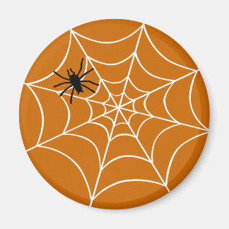 Spider Web Magnet