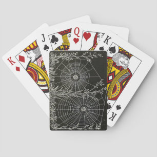 Spider Web Playing cards. Poker Black Jack Animal Cards