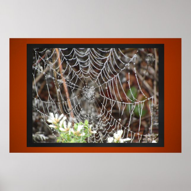 Spider Web Poster (Front)