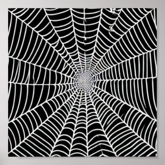 Spider  Web Poster