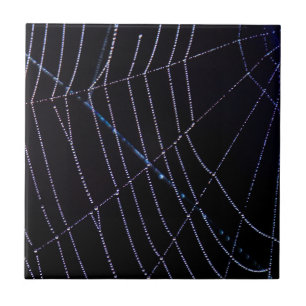 Spider Web Tile