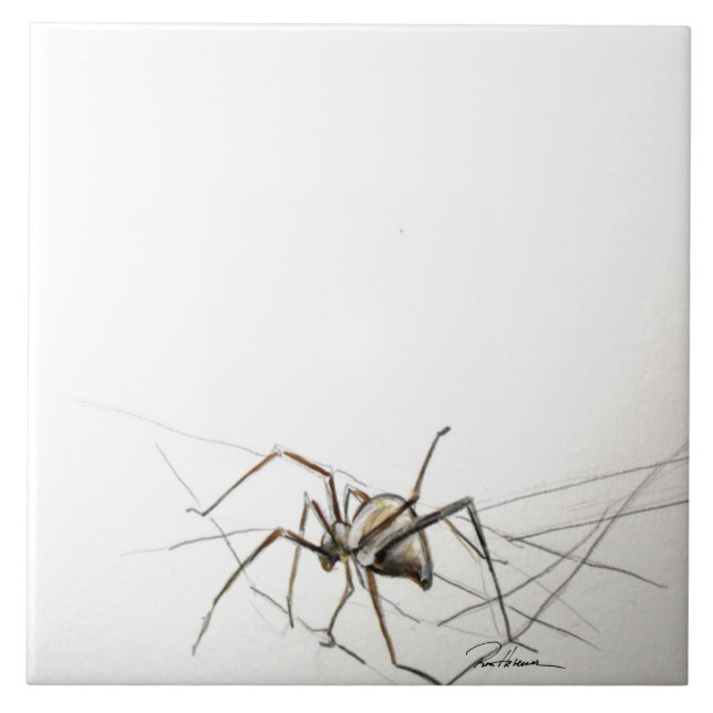 Spider Web Tile (Front)
