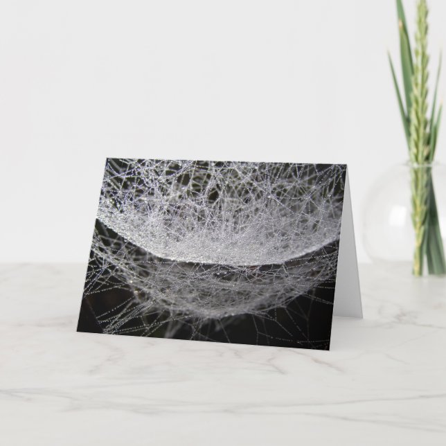 Spider Web With Dew, Water Drop Hammock Card (Front)