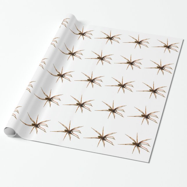 Spider Wrapping Paper (Unrolled)