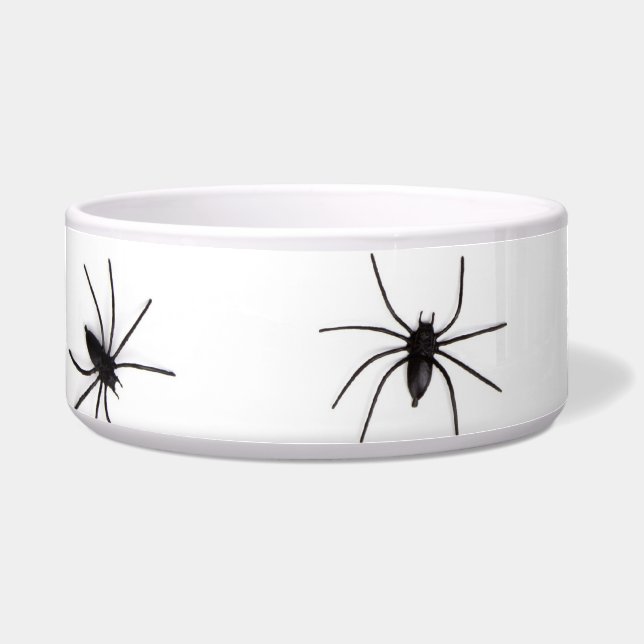 Spiders (Front)