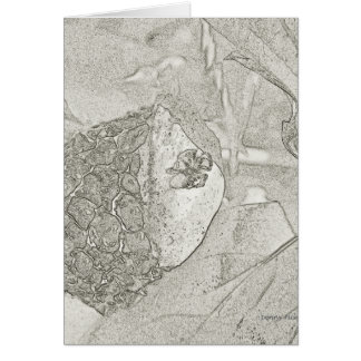 Spiders and Mushroom Pencil Sketch Art Card