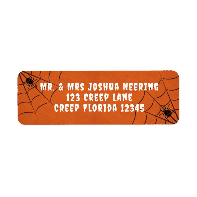 Spiders and Spider Webs  (Front)