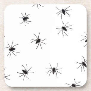 spiders coaster
