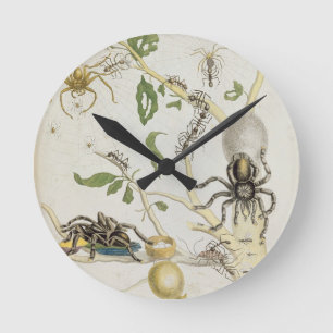 Spiders: Mygole, plate 18 from 'Over de Voorteelin Round Clock