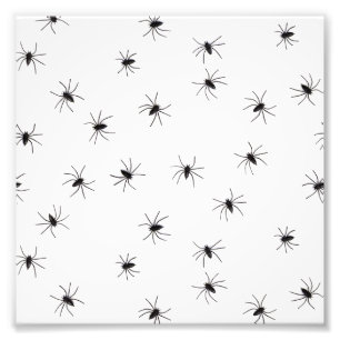 Spiders Photo Print