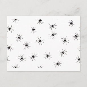spiders postcard