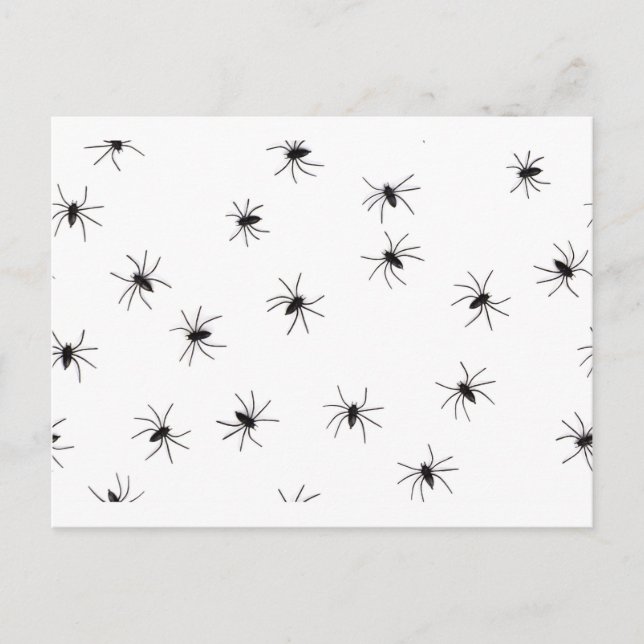 spiders postcard (Front)