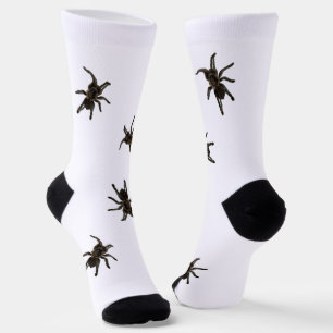 Spiders Socks