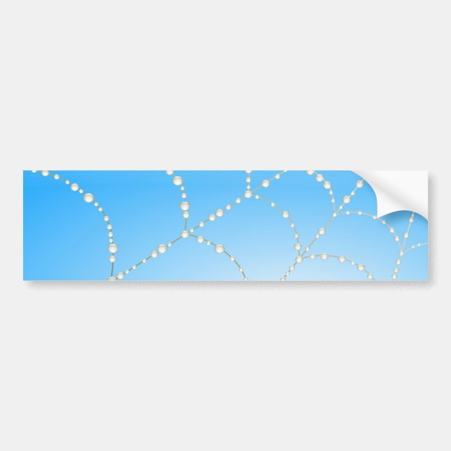Spiders Web Bumper Sticker (Front)
