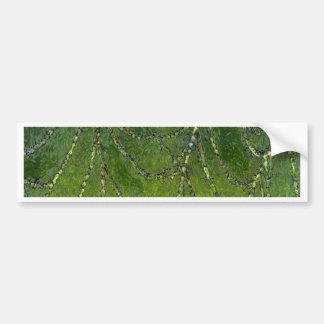 Spiders Web Bumper Sticker