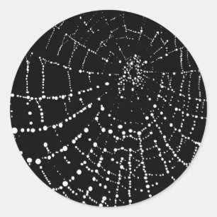 Spider's Web Classic Round Sticker