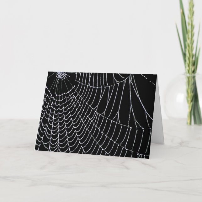 Spider's Web | Greeting Cards (Front)