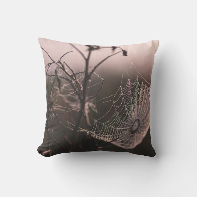 Spiderweb Halloween Pillow (Front)