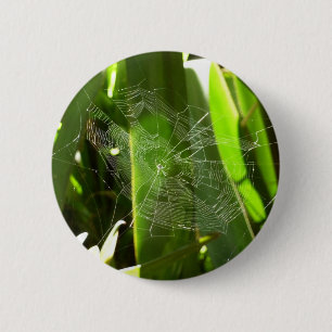 Spiderweb in Tropical Leaves Nature 6 Cm Round Badge