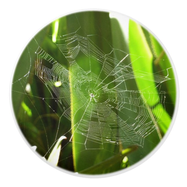 Spiderweb in Tropical Leaves Nature Ceramic Knob (Front)
