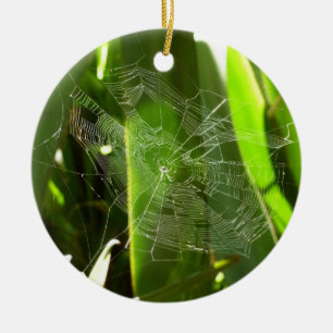 Spiderweb in Tropical Leaves Nature Ceramic Tree Decoration