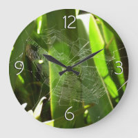 Spiderweb in Tropical Leaves Nature