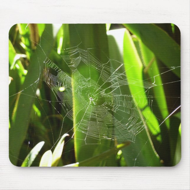 Spiderweb in Tropical Leaves Nature Mouse Mat (Front)