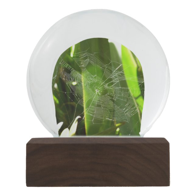 Spiderweb in Tropical Leaves Nature Snow Globe (Front)